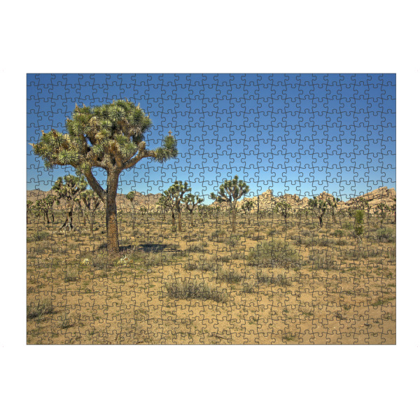 artboxONE Puzzle "Joshua-Tree-Nationalpark" artboxONE - Reise / Länder - Joshua tree,Nationalpark,Usa,Reise,Sehenswürdigkeit,Landschaft