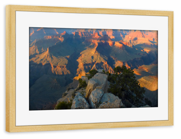 Poster mit Rahmen kiefer "Abendstimmung am Grand Canyon" artboxONE - Natur,Reise,Reise / Länder