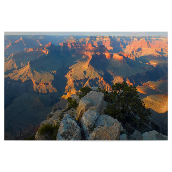 Poster "Abendstimmung am Grand Canyon" artboxONE - Natur,Reise,Reise / Länder