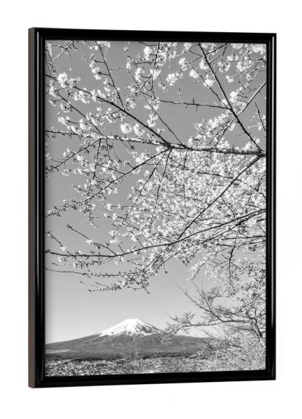 Poster mit schwarzem Rahmen "Monochrome Sicht auf den Fuji" artboxONE - Natur,Schwarzweiß,Reise / Asien