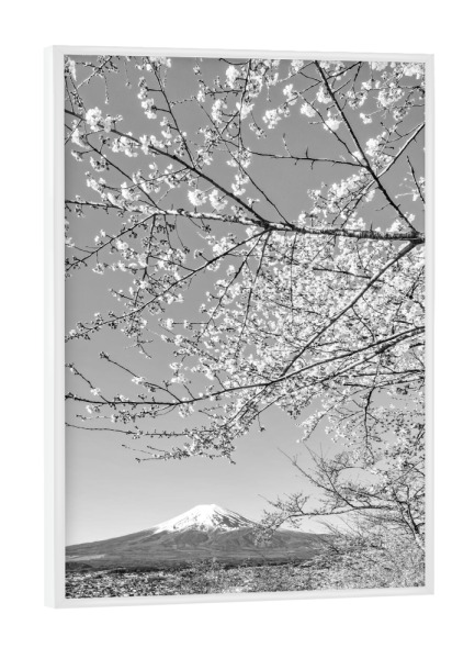 Poster mit weißem Rahmen "Monochrome Sicht auf den Fuji" artboxONE - Natur,Schwarzweiß,Reise / Asien