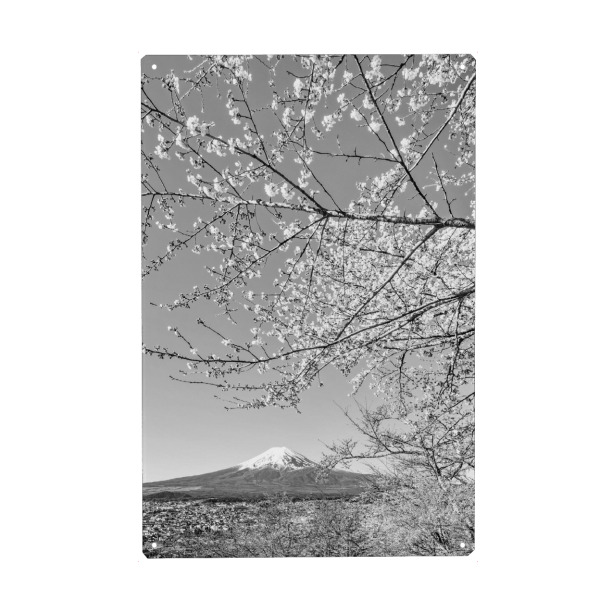Holzbild "Monochrome Sicht auf den Fuji" artboxONE - Natur,Schwarzweiß,Reise / Asien