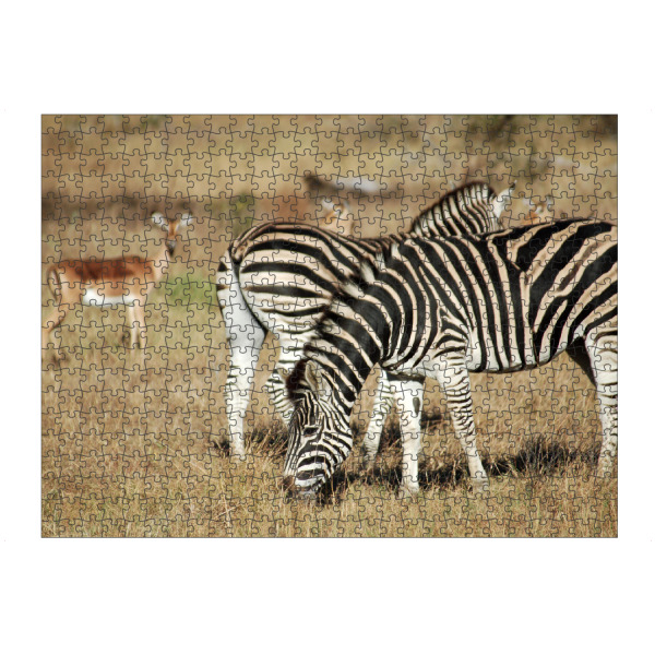 Puzzle Ravensburger "Zwei Zebras und Antilopen" artboxONE - Natur,Reise,Tiere,Reise / Afrika,Reise / Länder
