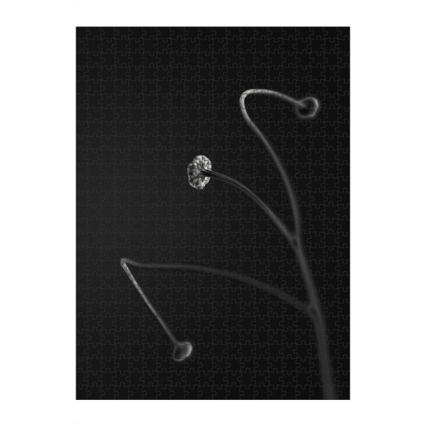 artboxONE Puzzle "Aus aktuellem Anlass (7)" artboxONE - Natur,Floral,Für Kinder,Für Mama,Für Papa