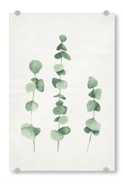 Acrylglasbild "Pflanzenliebe" artboxONE - Natur,Für Kinder,Menschen,Liebe,Für Mama - Pflanzen,Nature,Liebe