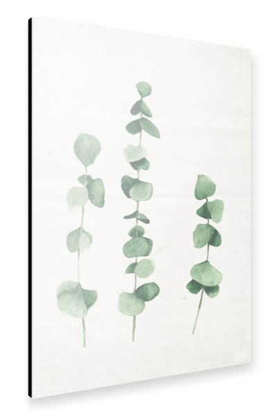 Alu-Dibond "Pflanzenliebe" 30x20 cm artboxONE