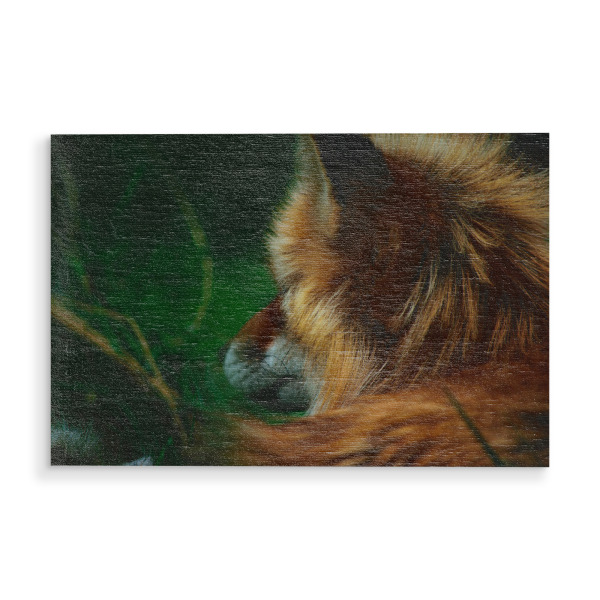 Holzbild "Fuchs im Profil" artboxONE - Natur,Reise,Tiere,Reise / Länder