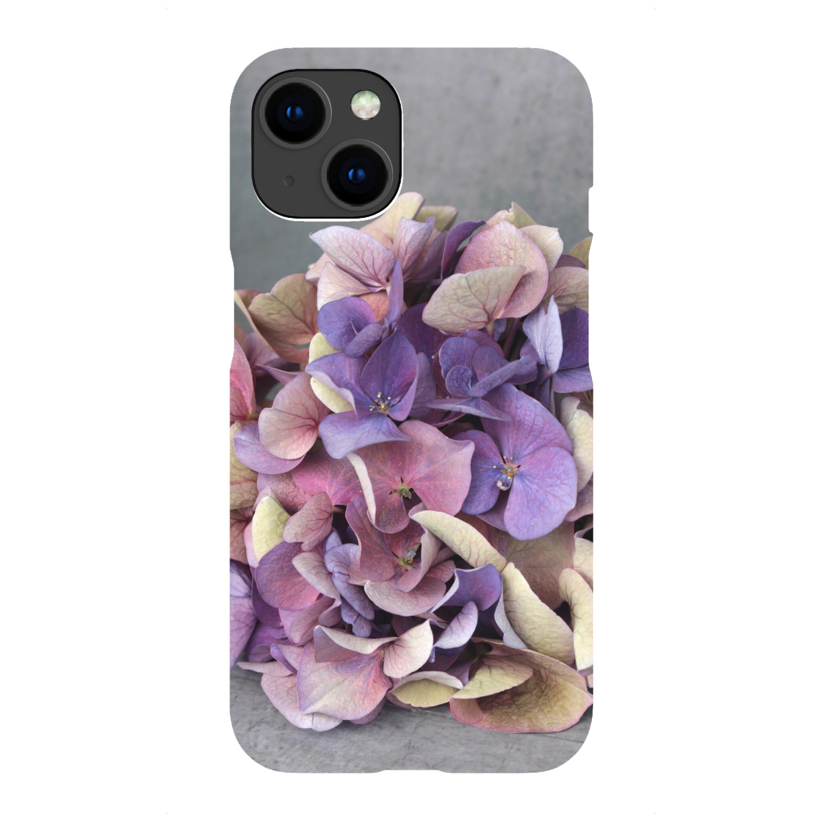 iPhone "Hortensie Blumenstrauß Beige Blau" Premium-Case Handyhülle artboxONE