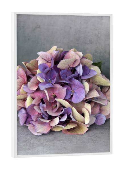 Poster mit weißem Rahmen "Hortensie Blumenstrauß Beige Blau" artboxONE - Natur,Floral,Abstrakt