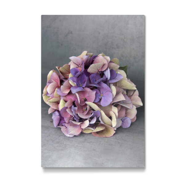Galerie-Print "Hortensie Blumenstrauß Beige Blau" 30x20 cm artboxONE
