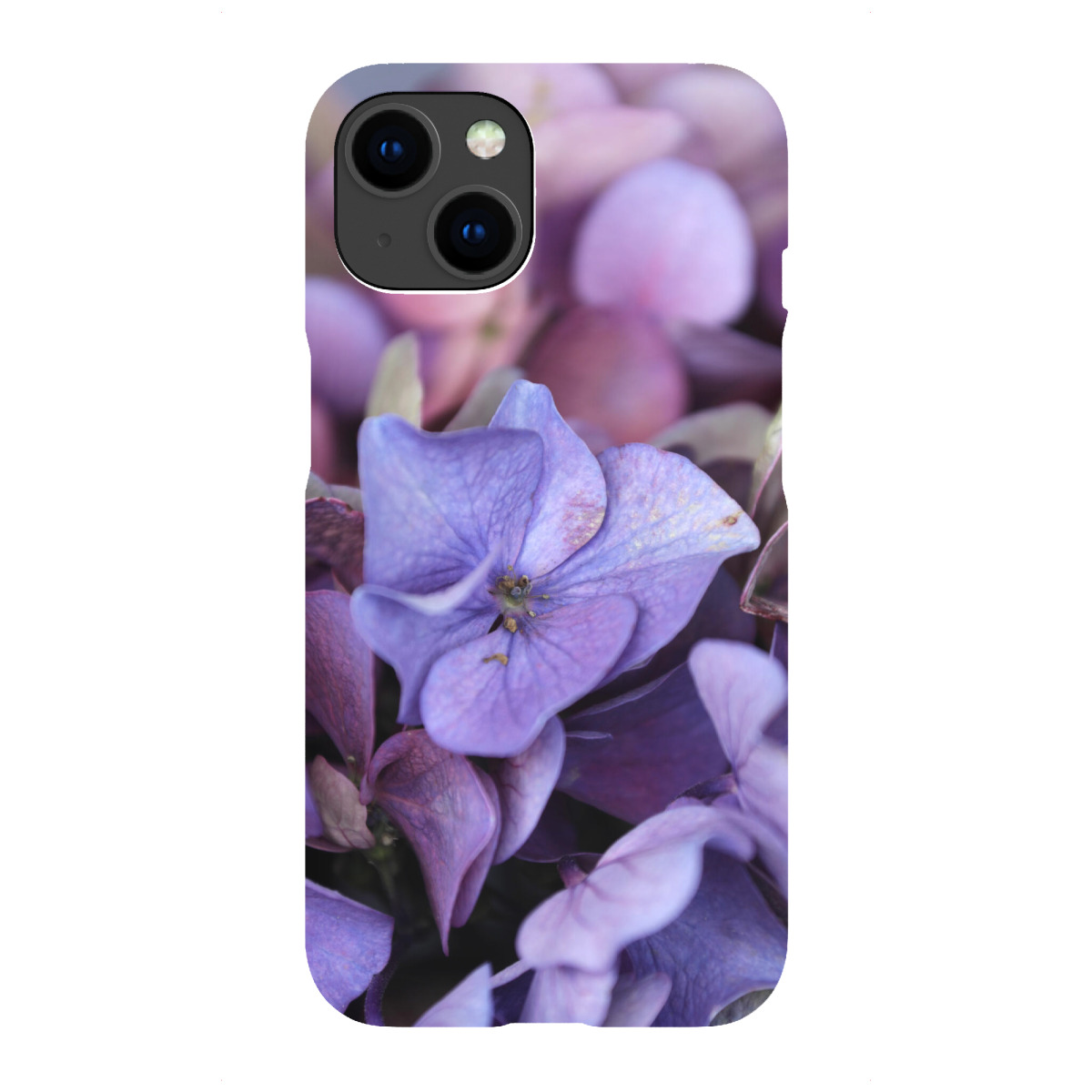 iPhone "Hortensienblüte Blautöne" Premium-Case Handyhülle artboxONE