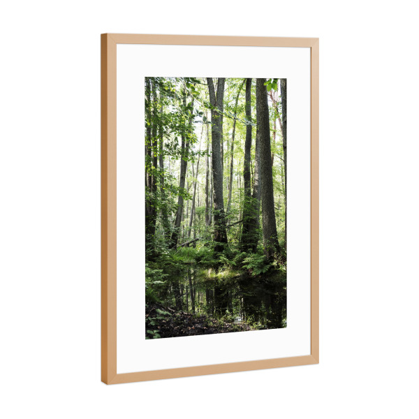 Poster mit Rahmen Kupfer "Im grünen frischen Wald" artboxONE - Natur - Wald,Bäume,Grün,Vegetation,üppiges,Wasser,Wälder,Baum,Frische,Wild,Natur