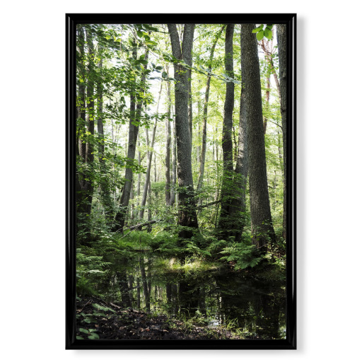 Im grünen frischen Wald