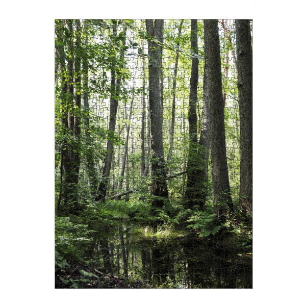 artboxONE Puzzle "Im grünen frischen Wald" artboxONE - Natur - Wald,Bäume,Grün,Vegetation,üppiges,Wasser,Wälder,Baum,Frische,Wild,Natur