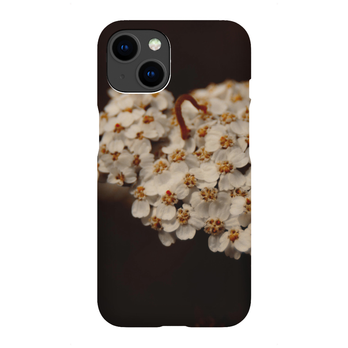 "Kleine Raupe"für iPhone - Premium-Case Handyhülle artboxONE