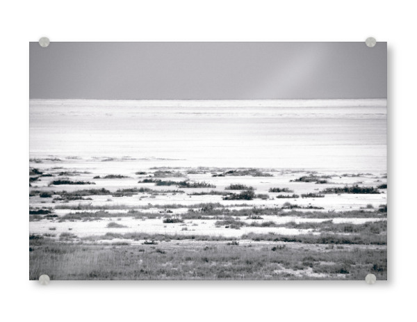 Acrylglasbild "Die Etosha-Salzpfanne" artboxONE - Natur,Reise,Schwarzweiß,Reise / Afrika,Reise / Länder