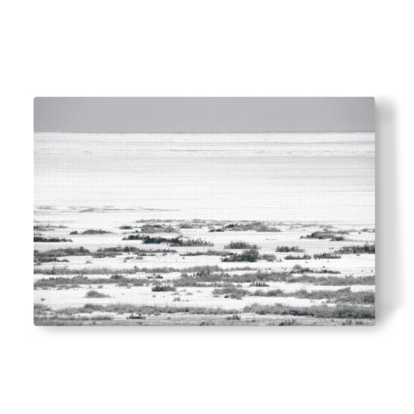 Leinwandbild "Die Etosha-Salzpfanne" artboxONE - Natur,Reise,Schwarzweiß,Reise / Afrika,Reise / Länder