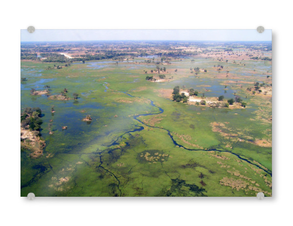 Acrylglasbild "Okavangdelta Luftaufnahme" artboxONE - Natur,Reise,Reise / Afrika,Reise / Länder