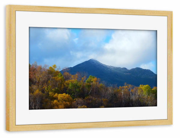 Poster mit Rahmen kiefer "Mount Washington Indian Summer" artboxONE - Natur,Reise,Reise / Länder
