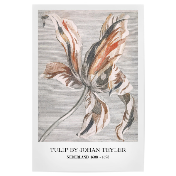 Poster "Zarte Pastell Tulpe" artboxONE - Typografie,Floral,Abstrakt