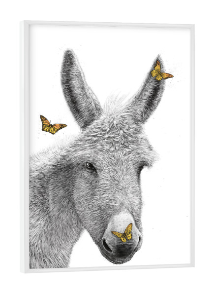 Poster mit weißem Rahmen "Esel mit Schmetterling" artboxONE - Tiere
