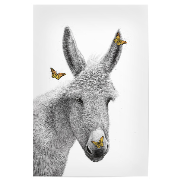 Poster 30x20 cm "Esel mit Schmetterling" artboxONE - Tiere - Tiere,Tier,Natur,Esel,Schmetterling,Insekten,Grafik,Schwarz und weiß,Niedlich,Lustig