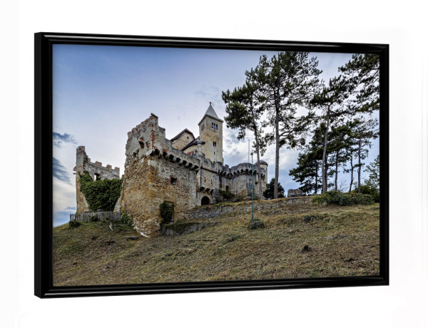 Poster mit schwarzem Rahmen "Wiener Burg Liechtenstein" artboxONE - Architektur