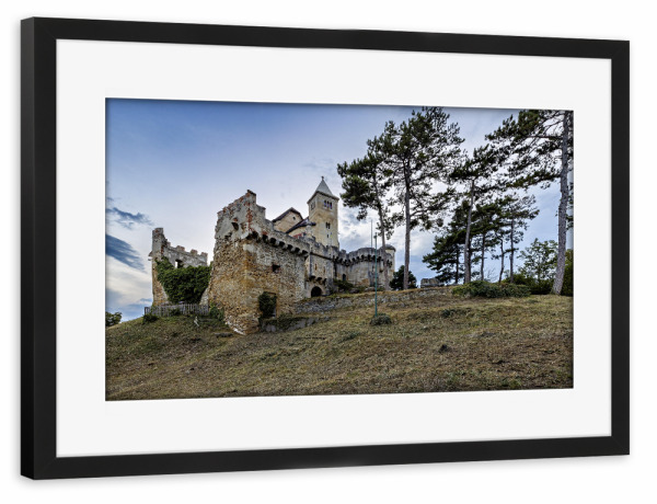 Poster mit Rahmen schwarz "Wiener Burg Liechtenstein" artboxONE - Architektur