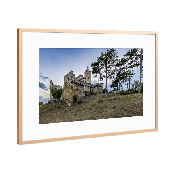 Poster mit Rahmen Kupfer "Wiener Burg Liechtenstein" artboxONE - Architektur