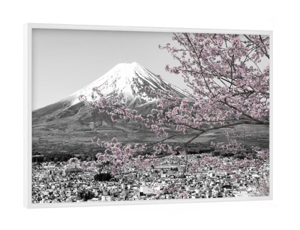 Poster mit weißem Rahmen "Malerischer Fuji zur Kirschblüte" artboxONE - Natur,Schwarzweiß,Reise / Asien
