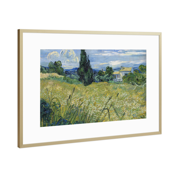 Poster mit Rahmen Gold "Grünes Weizenfeld mit Zypresse" artboxONE - Natur,Reise,Reise / Länder,Für Mama,Für Papa