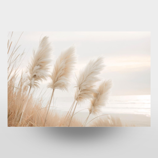 Pampas grass in evening light