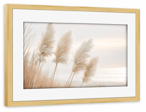 Poster mit Rahmen kiefer "Pampasgras im Abendlicht" artboxONE - Natur,Reise / Strand und Meer