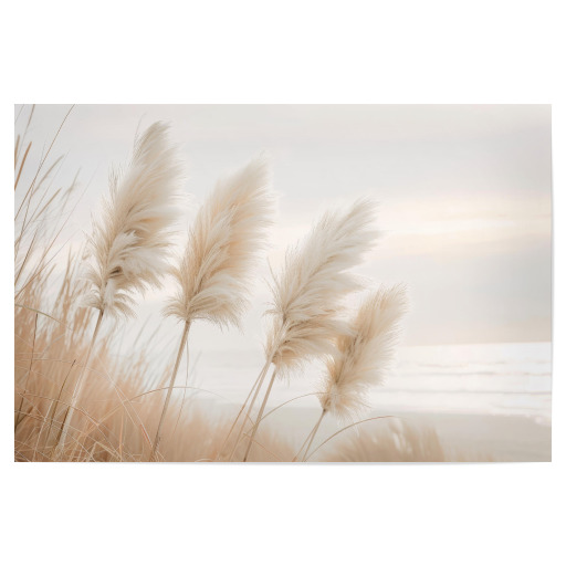 Pampas grass in evening light