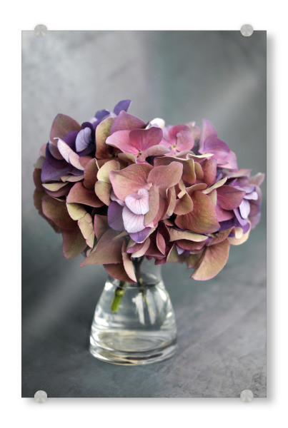 Acrylglasbild "Hortensie Vase mit Blumenstrauß" artboxONE - Natur,Floral,Liebe