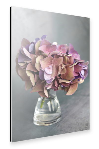Alu-Dibond "Hortensie Vase mit Blumenstrauß" 30x20 cm artboxONE