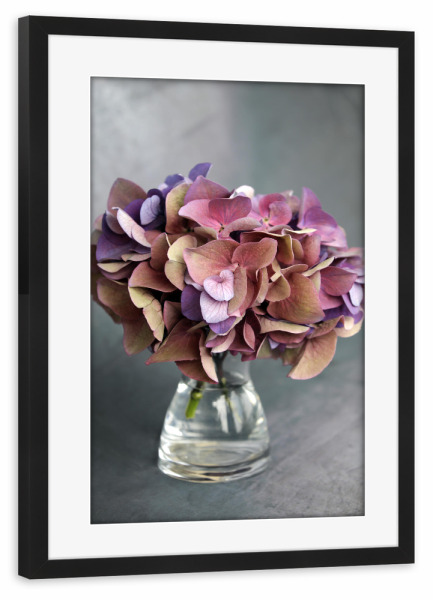 Poster mit Rahmen schwarz "Hortensie Vase mit Blumenstrauß" artboxONE - Natur,Floral,Liebe