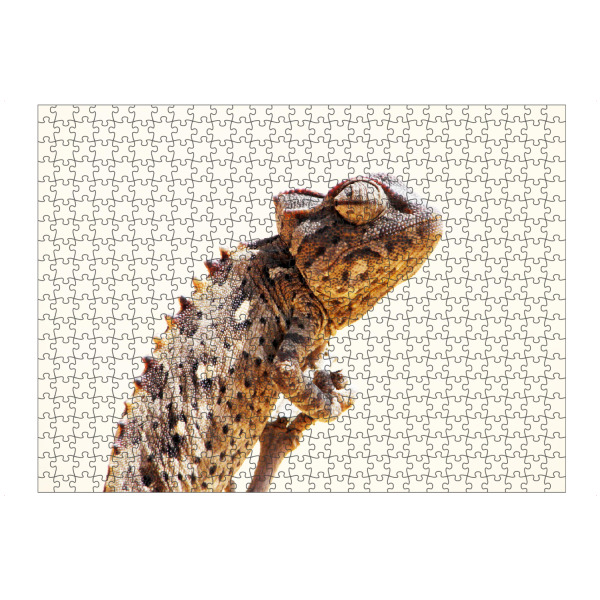 Puzzle Ravensburger "Ein Damarachamäleon" artboxONE - Natur,Tiere,Reise / Afrika,Reise / Länder