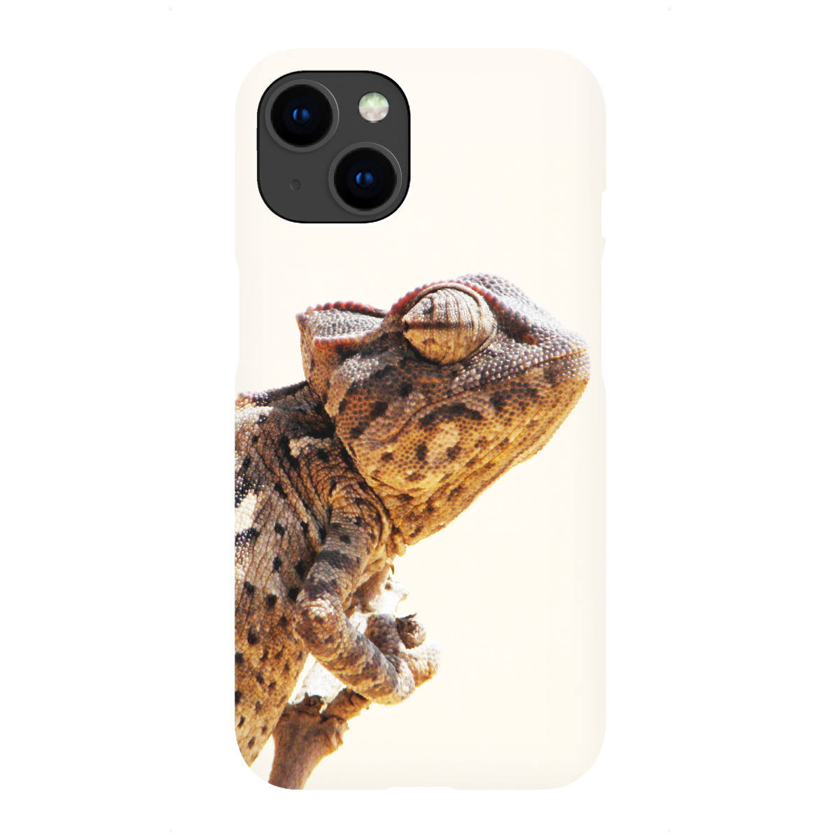 iPhone "Ein Damarachamäleon" Premium-Case Handyhülle artboxONE