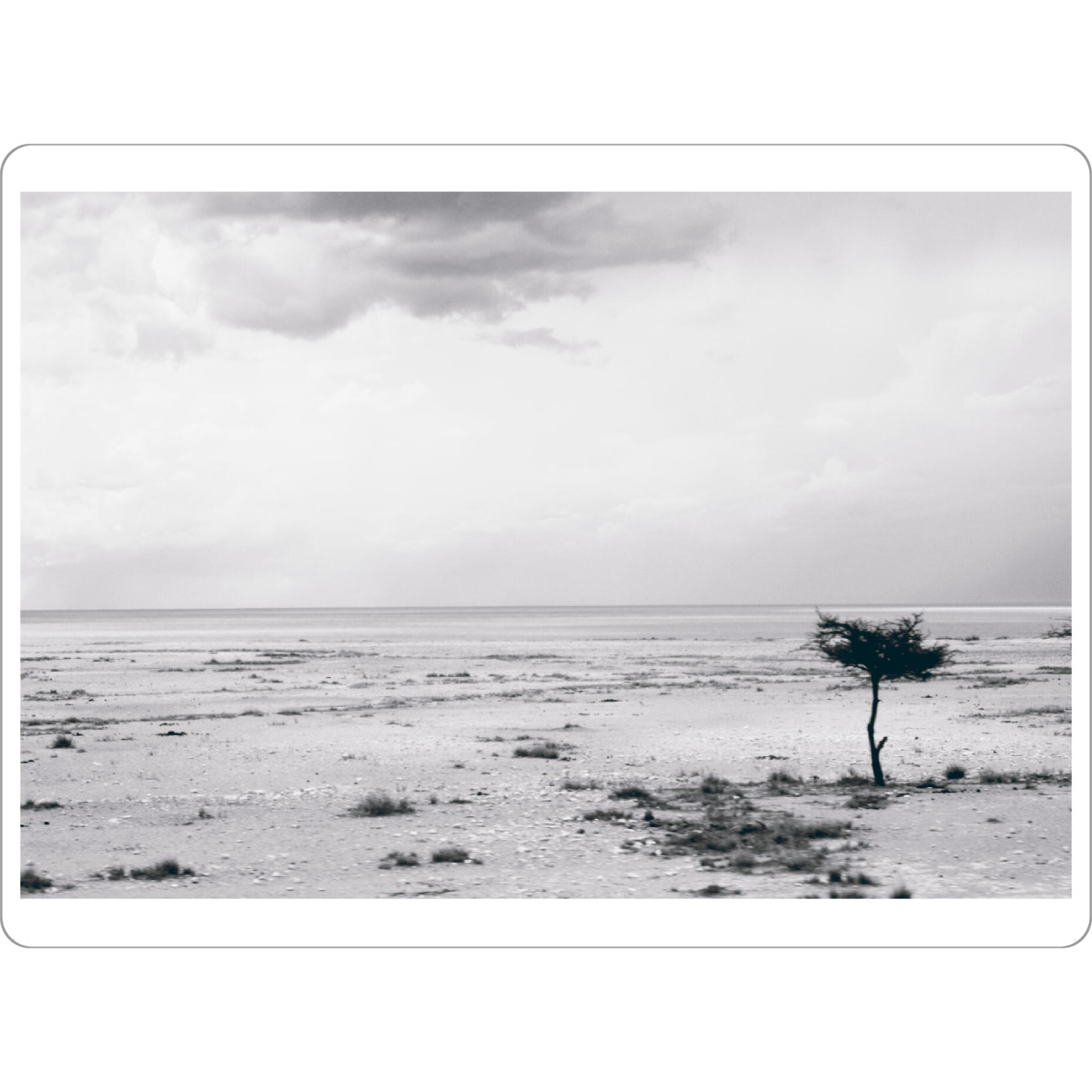Tischset "Etoschapfanne" artboxONE - Natur,Reise,Tiere,Schwarzweiß,Reise / Afrika