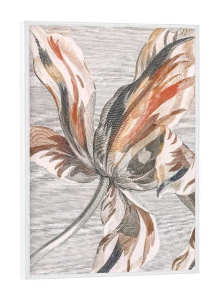 Poster mit weißem Rahmen "Zarte Linien Tulpe" artboxONE - Natur,Floral,Abstrakt