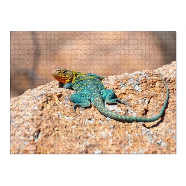 Puzzle Ravensburger "Halsbandleguan" artboxONE - Natur,Reise,Tiere,Reise / Länder