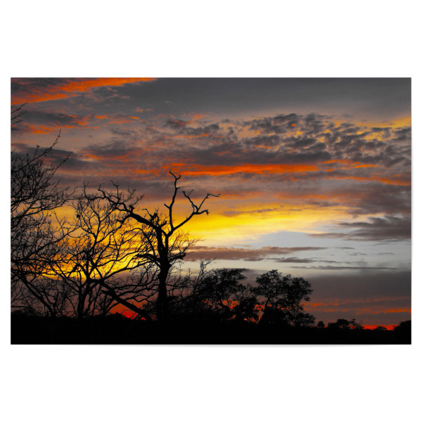 Poster "Schöner Sonnenuntergang" artboxONE - Natur,Reise,Reise / Afrika,Reise / Länder