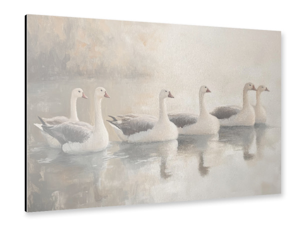 Alu-Dibond "Gänse in der Lagune" 30x20 cm artboxONE