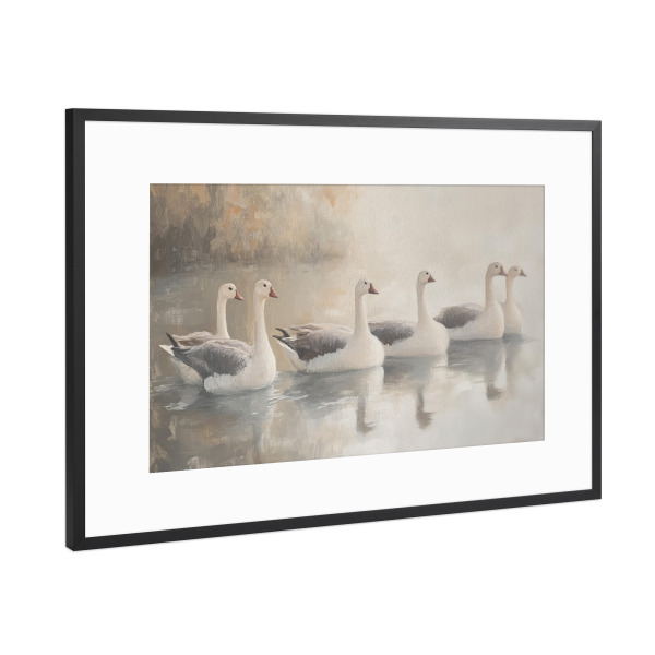 Poster mit Rahmen Schwarz (Metallic) "Gänse in der Lagune" artboxONE - Natur,Tiere - Gänse,Lagune,Bauernhausdekor,Nutztiere