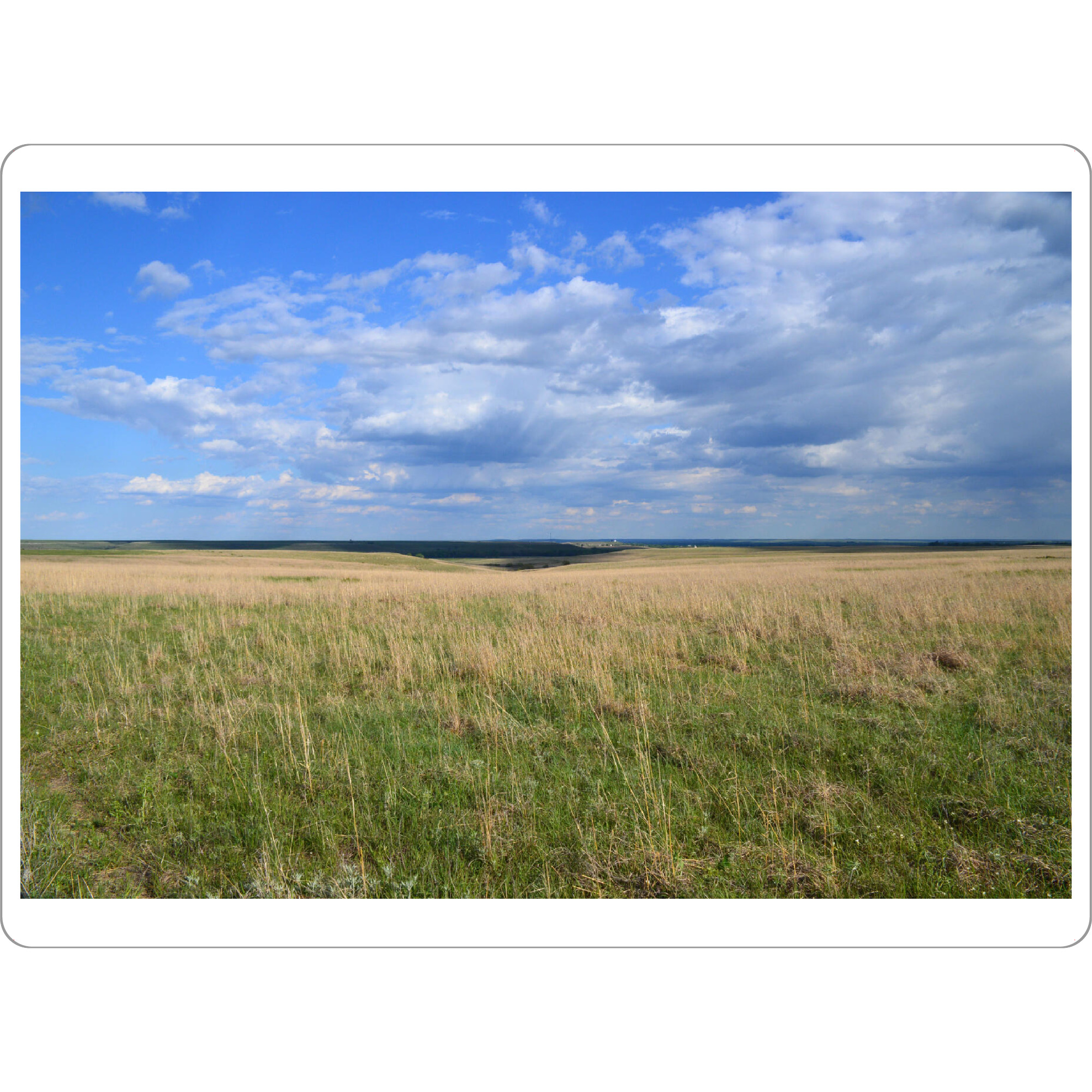 Tischset "Mid western Prairie" artboxONE - Natur,Reise,Reise / Länder