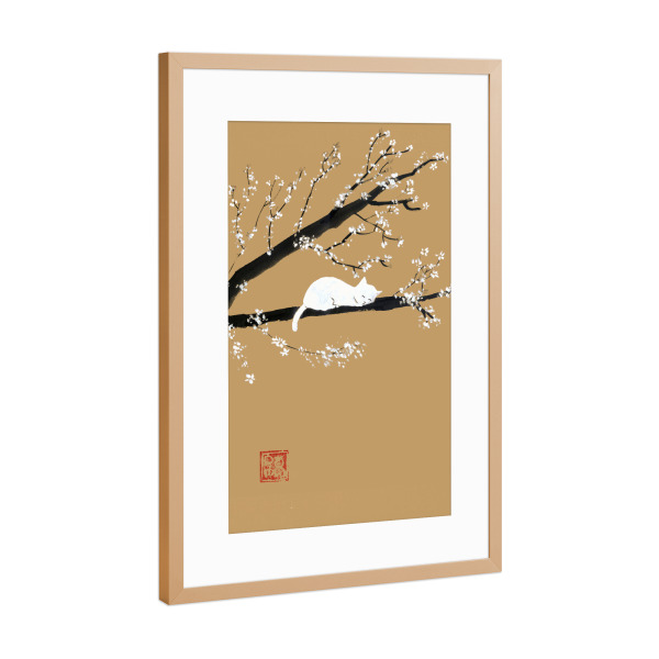 Poster mit Rahmen Kupfer "Weiße Katze auf einem Ast" artboxONE - Reise / Asien - Katze,Zweig,Sumie,Japan,Kirschbaum