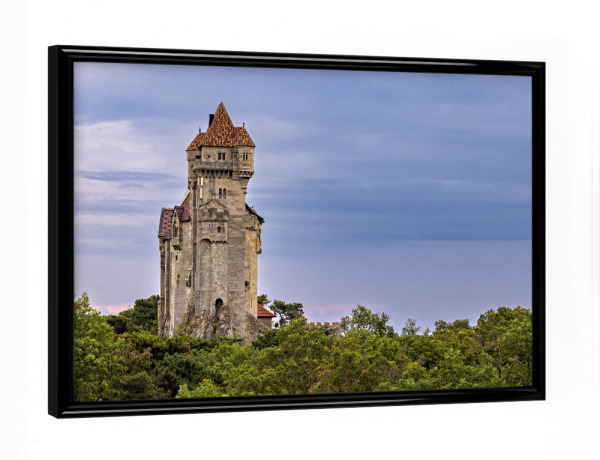 Poster mit schwarzem Rahmen "Liechtensteiner Burg bei Wien" artboxONE - Natur,Architektur