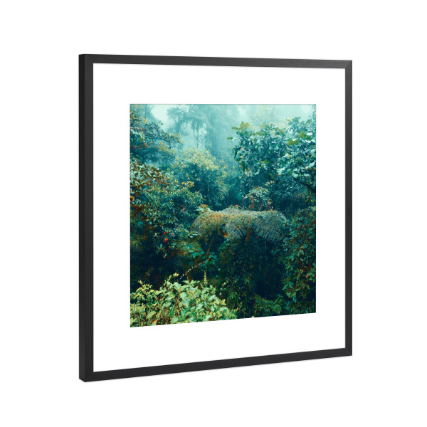 Poster mit Rahmen Schwarz (Metallic) "The Tropical Rainforest I" artboxONE - Natur,Reise,Reise / Afrika,Reise / Asien,Reise / Länder