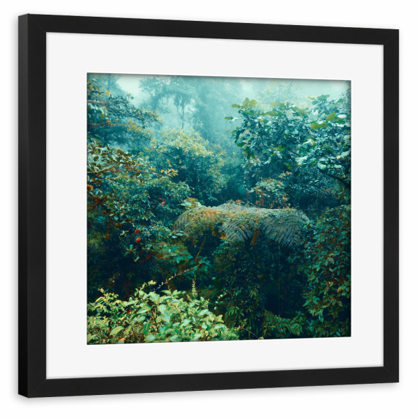 Poster mit Rahmen schwarz "The Tropical Rainforest I" artboxONE - Natur,Reise,Reise / Afrika,Reise / Asien,Reise / Länder